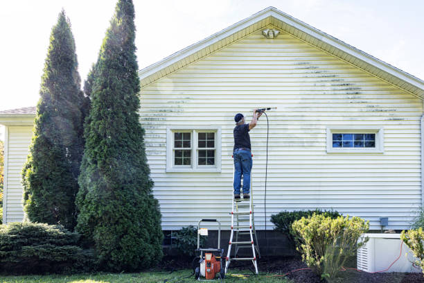Best Dumpster Area Cleaning  in Meeker, CO